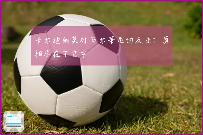 卡尔迪纳莱对马尔蒂尼的反击：真相尽在不言中