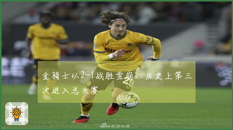 金骑士以2-1战胜雪崩，历史上第三次进入总决赛